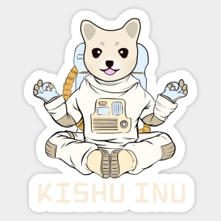 Kishu inu finance crypto Coin Crypto coin Crypto coin Crytopcurrency Sticker